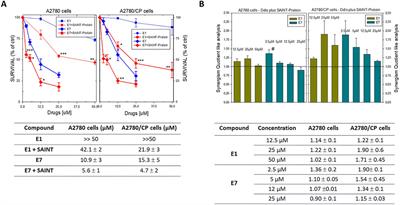 Enhanced anticancer effect of thymidylate synthase dimer disrupters by promoting intracellular accumulation